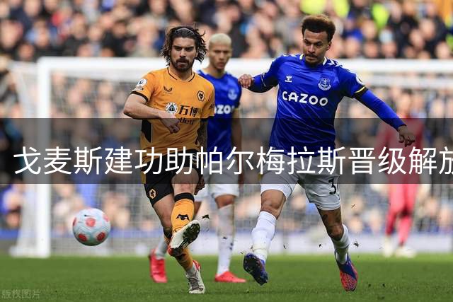 戈麦斯建功助帕尔梅拉斯晋级解放者杯八强