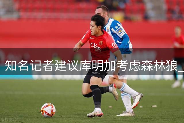 知名记者建议库明加考虑森林狼 底薪加盟或获首发机会