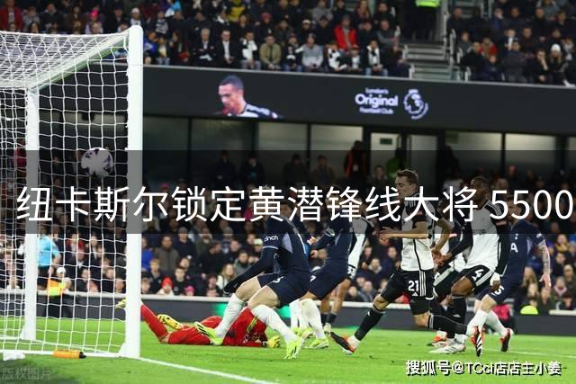 纽卡斯尔锁定黄潜锋线大将 5500万求购格鲁吉亚射手